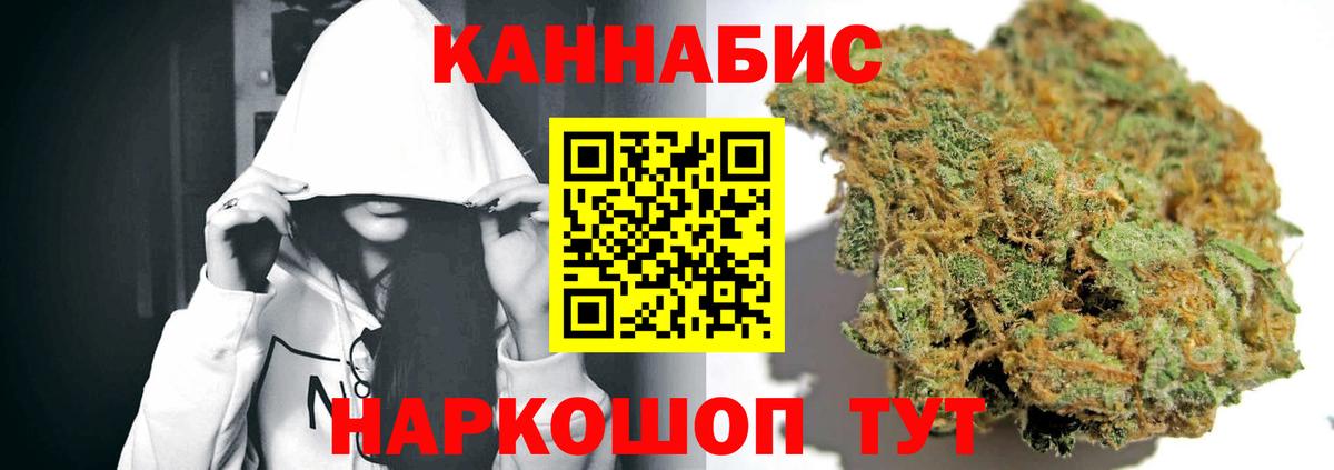 Муравленко  Канабис сатива  Канабис семена  Вход с VPN  Каннабис планчик 